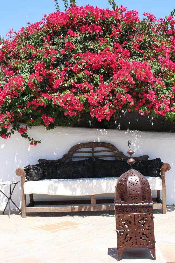 Boutique Bed & Breakfast Casa Utopia Alcaucín エクステリア 写真